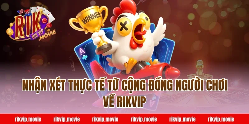 Nhận Xét Thực Tế Từ Cộng Đồng Người Chơi Về Rikvip